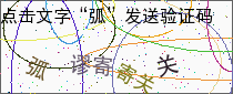 验证码