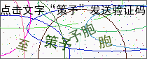 验证码