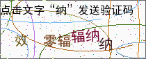 验证码