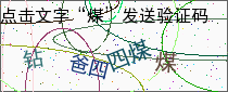 验证码