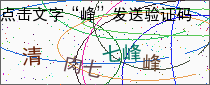 验证码