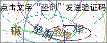 验证码