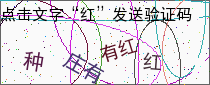 验证码