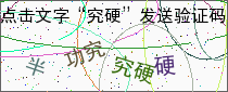 验证码