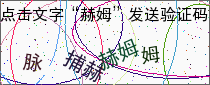 验证码