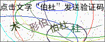 验证码