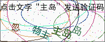 验证码
