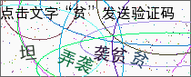 验证码