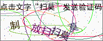 验证码